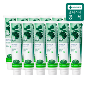 덴티스테 플러스 화이트 치약, 200g, 12개