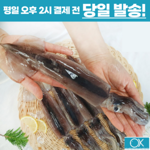 국내산 선동 급냉 초코오징어 통오징어 5미 10미 1kg 2kg 통찜용 숙회용 초콜렛오징어, 중대(230g전후 x 5미), 1개