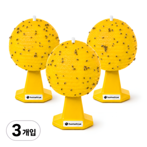 홈트루 벌레잡아 초파리 끈끈이 트랩