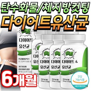 미미 bn71 유산균 다이어트 식약청인증 비에날씬 프로바이오틱스, 슬림다이어트유산균, 6개, 120정