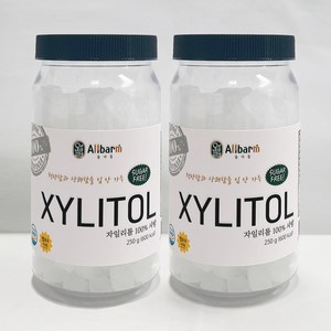 올바름 아기 자일리톨사탕 100% 무설탕 입덧 당뇨 캔디 자일리톨 충치 입냄새 담배 임산부 사탕 400g, 250g, 2개