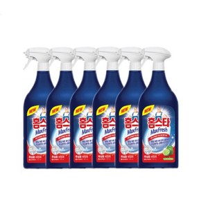 홈스타 욕실용 900ml 분사식 세정제, 6개