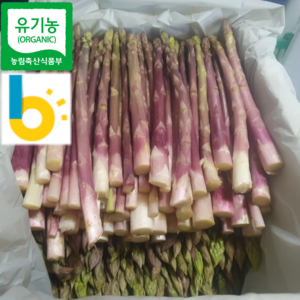 [국내유일 9bix] 유기농 못난이 국산 국내산 생 자색 아스파라거스 벌크 대용량, 1개, 1kg