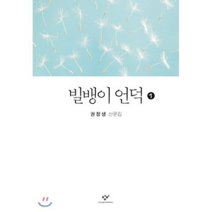 빌뱅이 언덕 1(큰글자):권정생 산문집 빌뱅이언덕