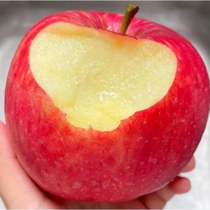 [초특가판매] 100박스한정 초고당도 부사 꿀사과, 1박스, 3kg