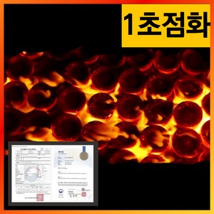 [1초점화] 바베큐숯 친환경 사과나무 고체연료 캠핑숯, 100개, 소형