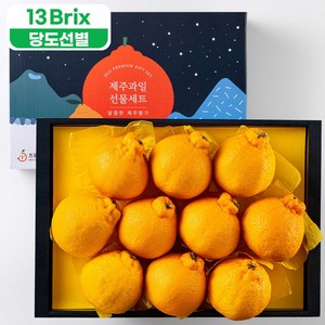 프루미츠 제주 중문농협 한라봉 3kg 선물세트 (7-10과)