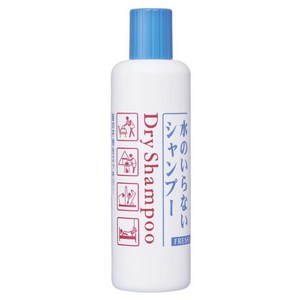 파인투데이 프레시 드라이 샴푸 보틀, 250ml, 1개