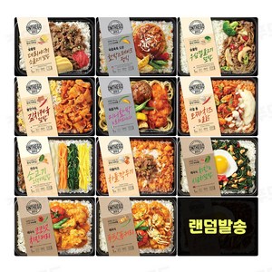 [정연푸드] 아워홈 온더고 식사대용 냉동도시락 12종 세트. 각1개씩 한끼, 1세트, 290g