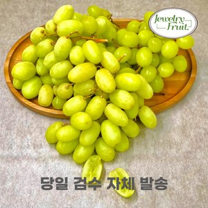 쥬얼리프룻 애플청포도 씨없는 아삭한 오텀크리스피 탕후루 고당도 수입 포도, 1개, 애플청포도 1kg 내외