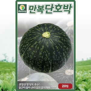 다농 만복단호박 씨앗 20립 단호박씨 종자, 1개