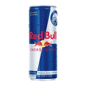 레드불 에너지 드링크, 250ml, 24개