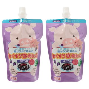 류카쿠산 약 잘 먹었네 젤리형 오블라토 포도맛 팩, 200g, 10개