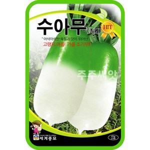 수아무 씨앗 10g / 여름무 초가을 무 씨 무우 종자 adish seed, 1개