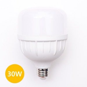 LONG 고용량 전구 LED 30W e26, 2개, 전구색