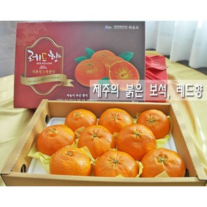 허니삼구 고당도 꿀맛 제주 레드향 특품 가정용3KG 5KG, 1박스, 3kg(8-13과)