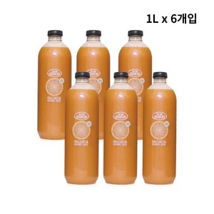 돈시몬 착즙 오렌지 주스, 1L, 6개