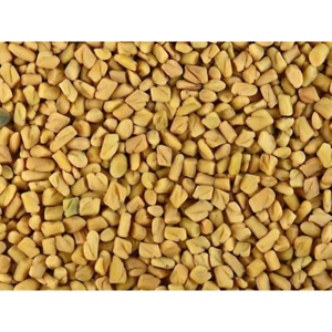 FENUGREEK SEED 호로파씨(인도) 100G/1PACK, 100g, 1개