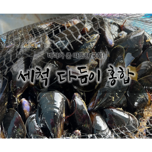 채취 거제 통영 고성 일대 다듬은 세척 홍합 홍합살 4kg 5kg 10kg [원산지:국산(경상남도 남해군)], 1세트, 세척홍합10kg