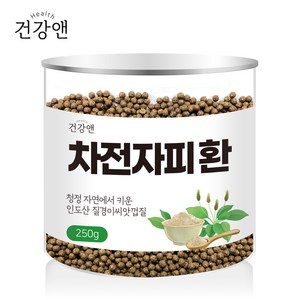 차전자피 환 식이섬유 건강앤 250g, 1개