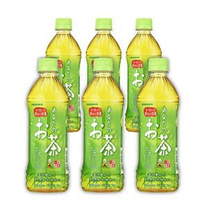 산가리아 당신의 녹차, 500ml, 6개