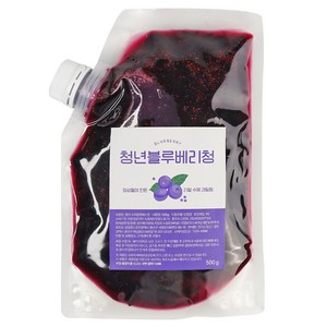 청년수제청 과일청 자일로스 수제 블루베리청, 500g, 1개