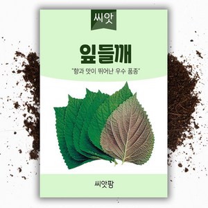 잎들깨 씨앗(1000립) 깻잎씨앗/쌈채소, 1개