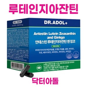 닥터아돌 징코빌로바 루테인 지아잔틴 3중기능 D.Adol+ 900mg x 60캡슐, 1개, 60정