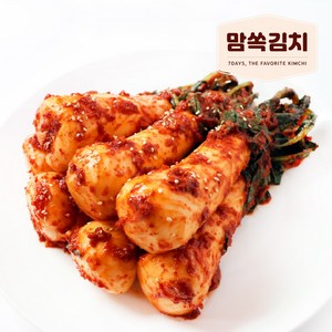 맘쏙김치 100% 국내산 총각김치, 1개, 3kg