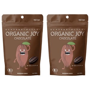 일신화공 조이 다크 초콜릿, 60g, 2개