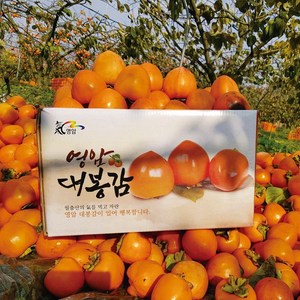 영암 대봉감 4.5kg (21~30과) / 곶감용 홍시용 대봉, 1박스