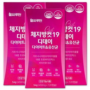 헬씨루틴 체지방컷 19 디데이 다이어트 유산균, 120정, 3개