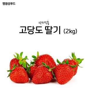 명광성푸드 산지직송 고당도 딸기 2kg