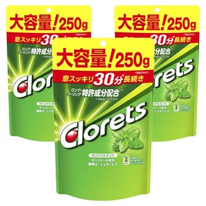 클로레츠 XP 오리지널 민트 스탠드 파우치