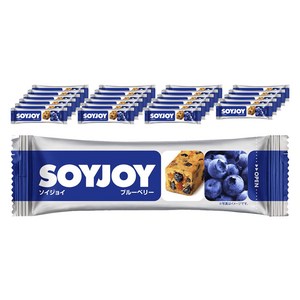 소이조이 블루베리