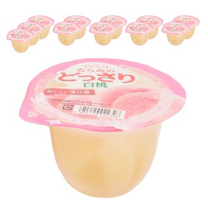 타라미 듬뿍 백도