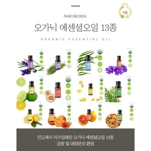 나스카코리아 오가닉(유기농)에센셜오일 라벤더프렌치 10ml [미국FDA / HACCP 시설], 1개