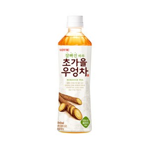 롯데칠성음료 잘빠진 하루 초가을 우엉차, 500ml, 24개