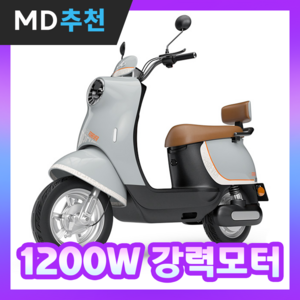 티모사 강력한 전기 오토바이 스쿠터 바이크 자토바이 전동 성인 배달용 출퇴근용, 72v 22ah 그레이