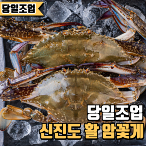 [당일조업] 국산 제철 봄꽃게 알배기 암꽃게 생물 활꽃게, 1개, 1kg