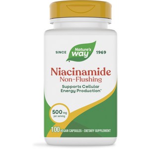 네이쳐스웨이 나이아신아미드 500mg 캡슐, 100정, 1개