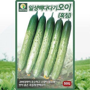 다농 일성백다다기오이 씨앗 50립 백다다기 오이씨 종자, 1개