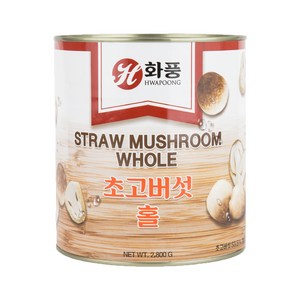 화풍 초고버섯 (홀) 2.8kg 버섯 2800g, 1개