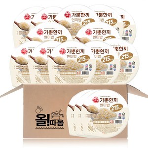 (올따옴) 오뚜기 가뿐한끼 현미밥, 150g, 15개