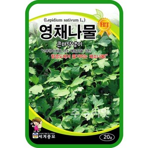 영채나물씨앗 영채씨앗 20g 큰 다닥냉이 희귀채소 Lepidium sativum, 1개