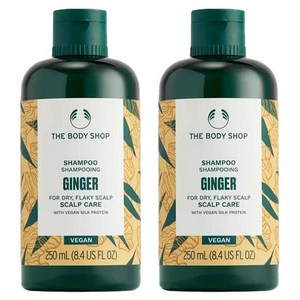 더바디샵 진저 스캘프 케어 샴푸, 250ml, 2개