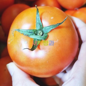 완숙 찰 토마토 주스용 가정용, 주스용 2kg, 1개