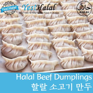 Yes!Global Halal Beef Dumplings 할랄 소고기 만두 (500g Handmade 핸드메이드), 1개, 500g