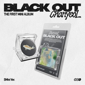 찬열 (CHANYEOL) - 미니앨범 1집 : Black Out [SMini Ve.](스마트앨범)