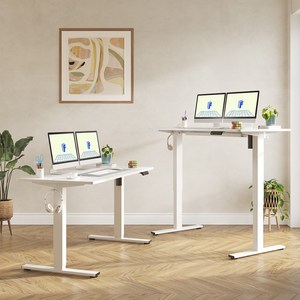 FlexiSpot 전동 모션데스크 EF1 컴퓨터책상 높이조절책상 A/S 5년 높이690-1100mm 학생책상 낮은 높이 사무실책상 게이밍책상